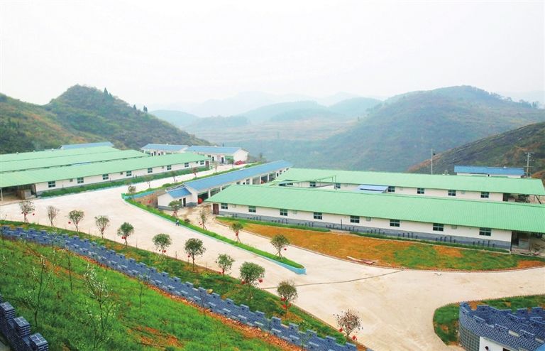 養豬場FRP防腐瓦案例